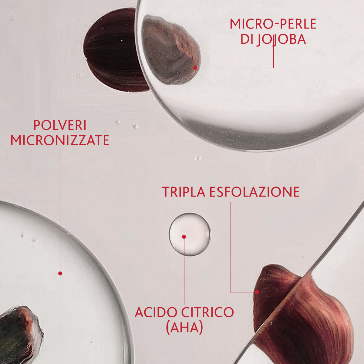 Immagine piccola in alto